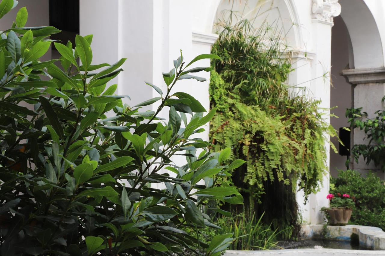 Ave Gratia Plena Hostel ซาแลร์โน ภายนอก รูปภาพ